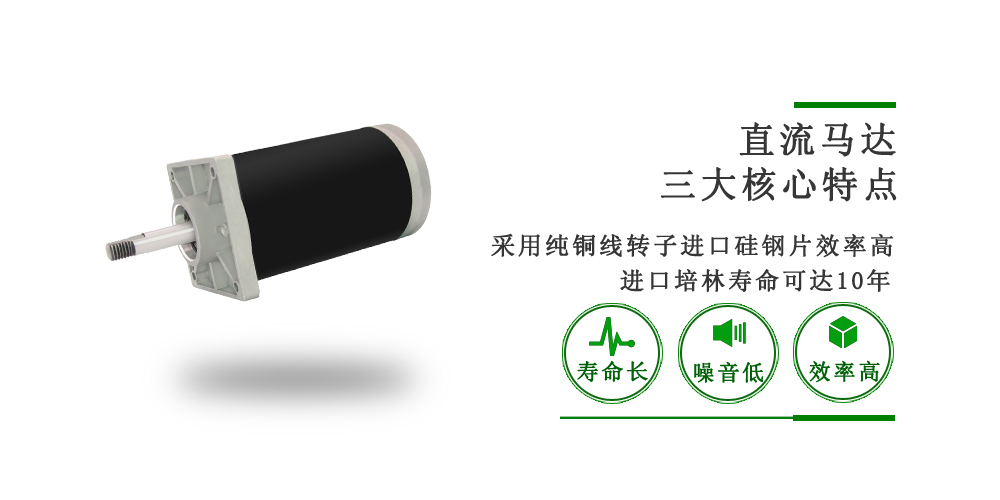 垃圾處理器電機